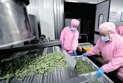 資本入局，電商煥新 生態循環農業與農村電商共繪鄉村振興新圖景