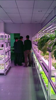 植物工廠高效生產(chǎn)技術(shù)交流會(huì) e光農(nóng)場(chǎng)站