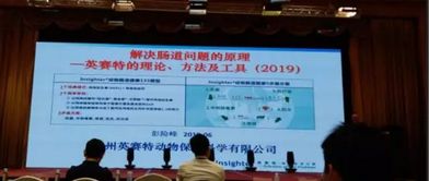 泰山 論壇 第十五屆 2019 動(dòng)物營養(yǎng)與飼料科學(xué)技術(shù)交流峰會(huì)圓滿落幕